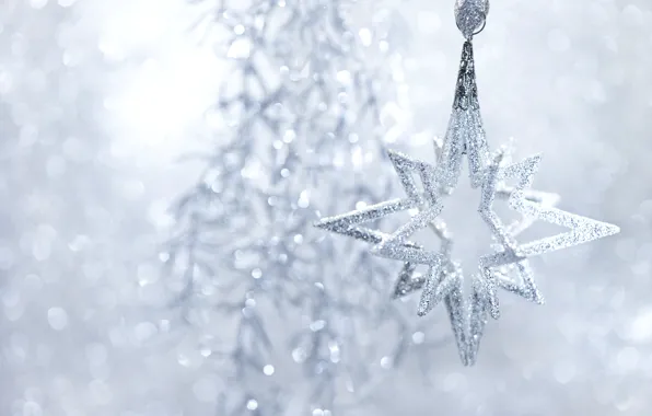 Winter, toy, star, sequins, New Year, Christmas, silver, tinsel