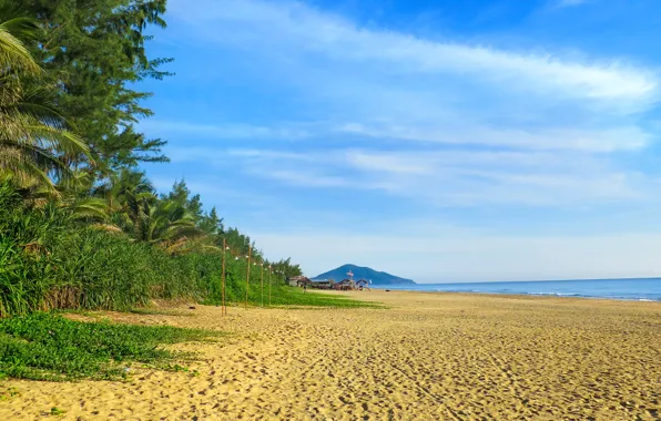 Picture sand, sea, beach, summer, the sky, shore