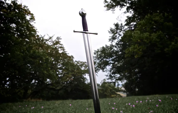 Forest, the sky, nature, weapons, steel, sword