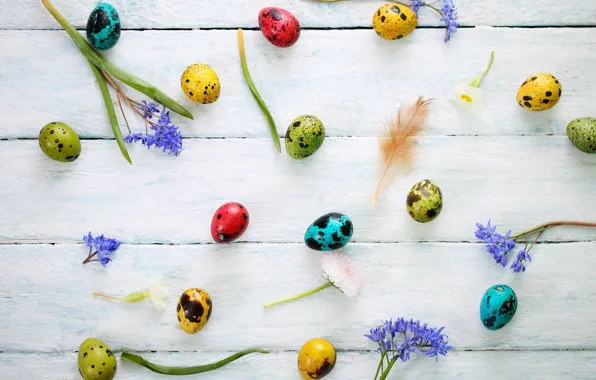 Flowers, holiday, eggs, feathers, Easter
