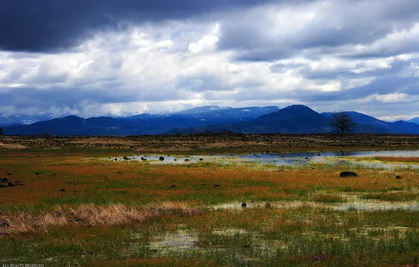 Picture the sky, water, mountains, clouds, swamp