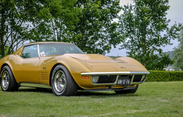 Corvette, Chevrolet, Stingray