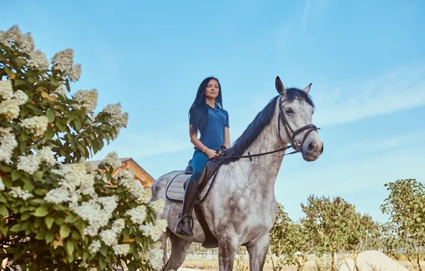 The sky, look, girl, flowers, nature, horse, horse, Bush