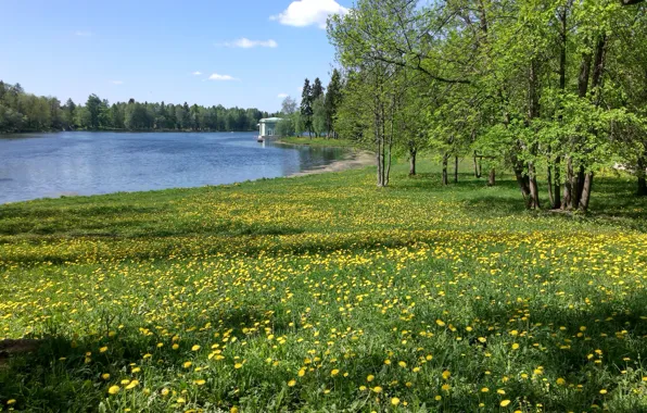 Picture Palace, Gatchina, St. Petersburg
