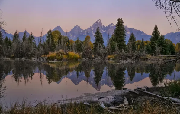 Picture forest, mountains, lake, reflection