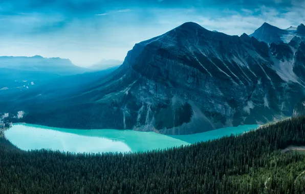 Picture forest, mountain, canada, alberta, lake louise