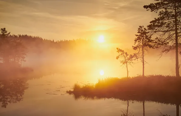 FOREST, GRASS, The SKY, The SUN, SUNSET, TREES, ISLANDS, POND
