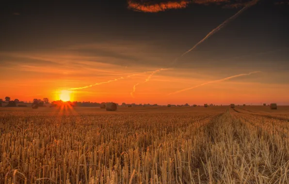 Field, sunset, the stubble