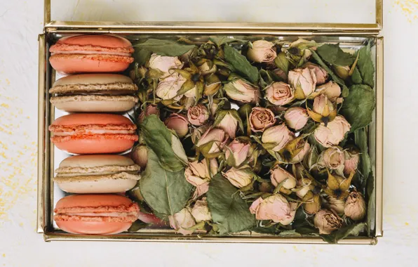Picture box, roses, buds, macaron