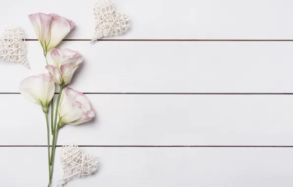 Flowers, background, pink, hearts, love, pink, flowers, hearts