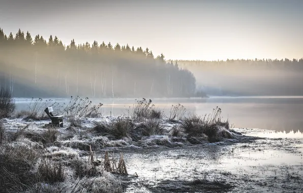 Picture landscape, nature, fog, lake, morning, bench