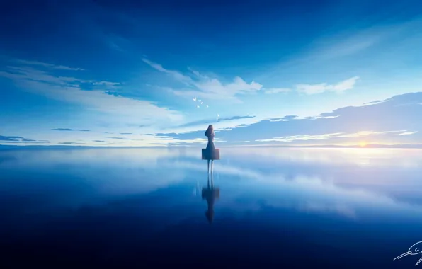 Picture the sky, water, girl, bird, suitcase