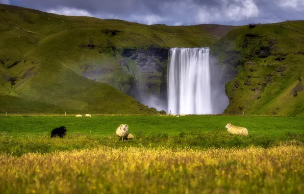 Grass, the sun, clouds, mountains, rock, waterfall, meadow, Iceland