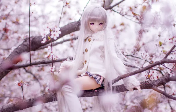 Tree, hair, toy, doll, Sakura