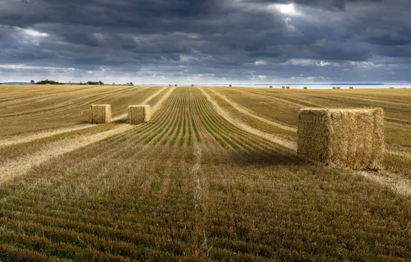 Field, autumn, the sky, clouds, strip, overcast, track, dal