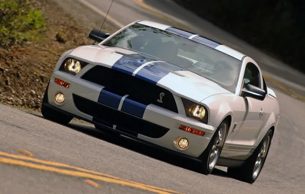 Picture mustang, ford, shelby, cobra gt500