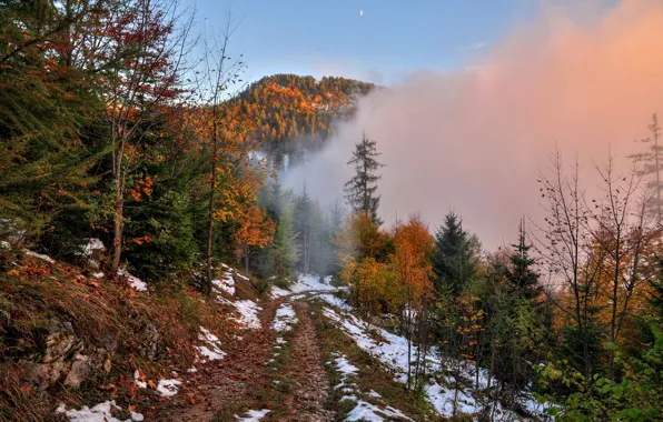 Road, autumn, forest, the sky, snow, trees, mountains, fog