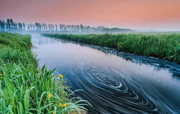 Fog, river, whirlpool