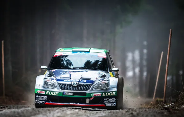 Picture Auto, Forest, Machine, Race, Lights, WRC, Rally, Rally
