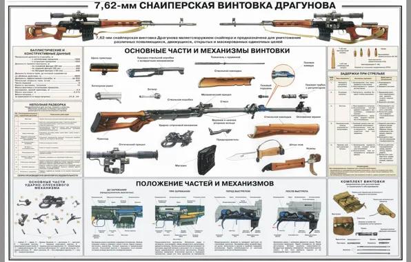 Picture Rifle, SVD, Sniper Rifle, Dragunov sniper rifle, Dragunov