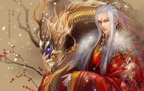 Picture berries, dragon, branch, tattoo, art, characters, guy, white hair