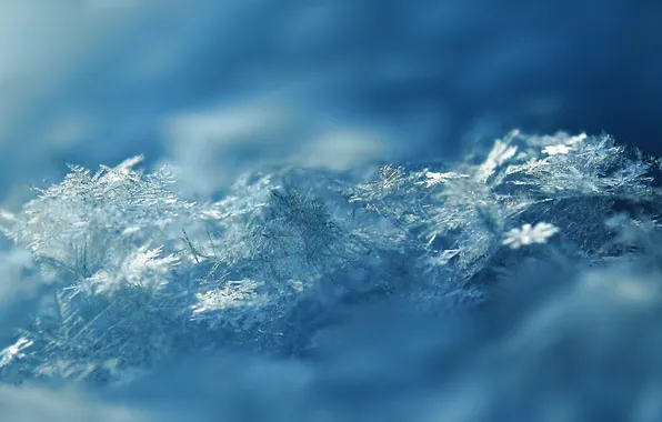 Picture macro, snow, snowflakes