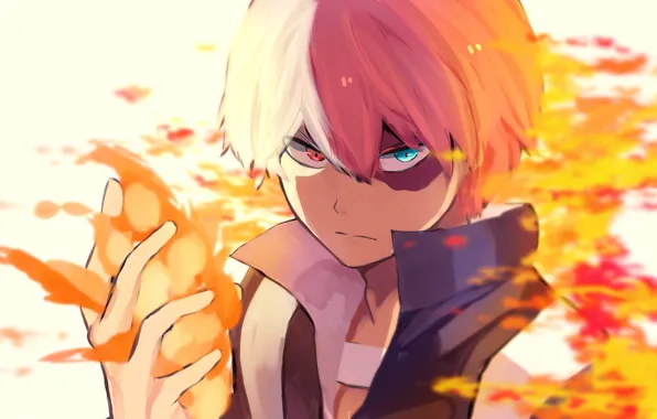 Look, anime, art, guy, Boku no Hero Academy, My hero Academy