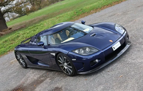 Picture Koenigsegg, Dark, Blue, CCX