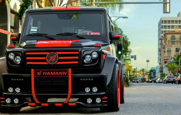 Picture hamann, mercedes benz, tuning, suv, g-class