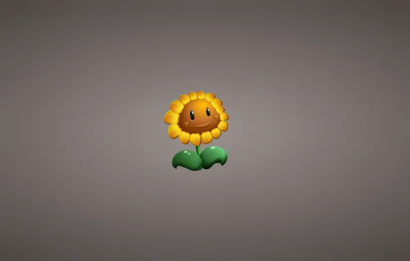 Picture flower, plant, sunflower, minimalism, Plants vs. Zombies