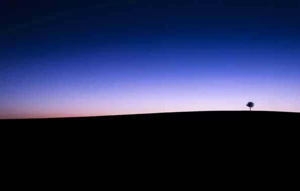 Field, the sky, line, tree, twilight