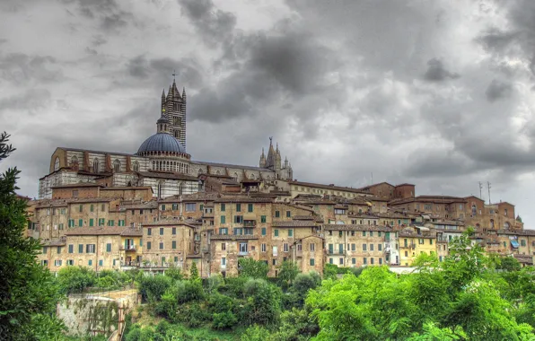 Home, hill, Italy, Tuscany, Cathedral, the bell tower, Siena