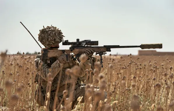 Field, optics, sniper, rifle, equipment, sniper