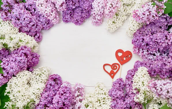 Flowers, heart, wood, flowers, lilac, romantic, lilac, frame