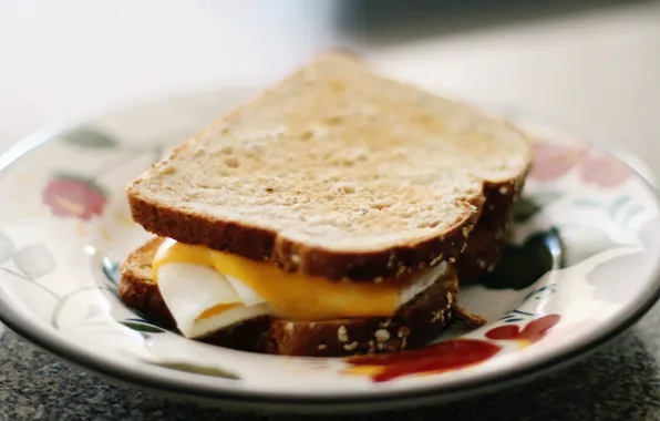 Cheese, egg, sandwhich