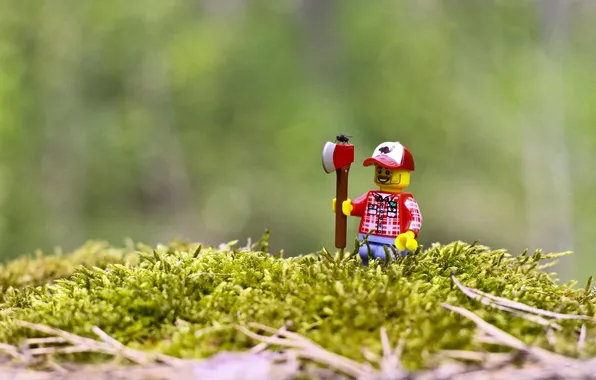 Picture toys, lego, figures, LEGO, funny, lumberjack