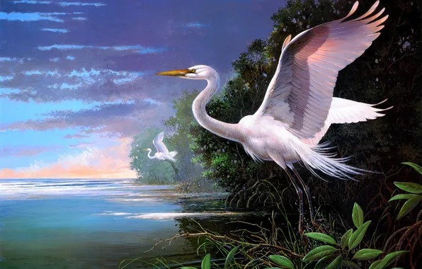 Clouds, Bay, painting, herons, The Didier, White Egrets at Pelican Bay