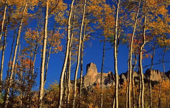 Autumn, the sky, leaves, trees, mountains, nature, rocks, birch