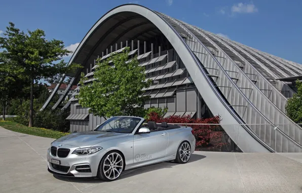 House, BMW, Cabrio, M235i