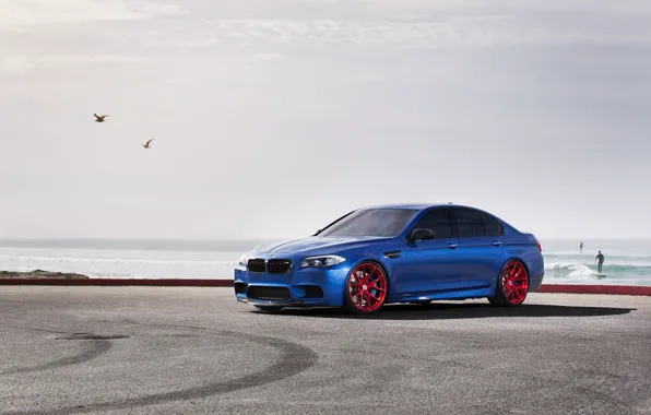 Picture the sky, bmw, BMW, seagulls, front view, blue, f10, monte carlo blue