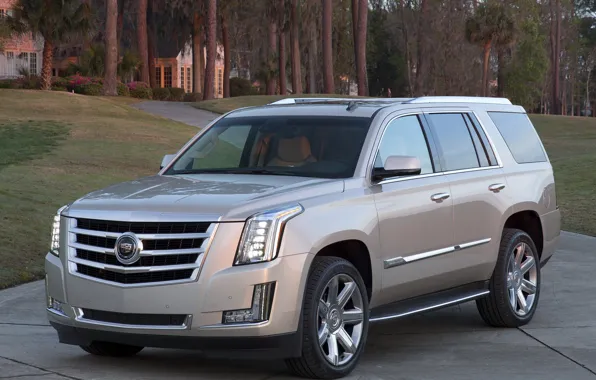Picture Cadillac, Escalade, '2014