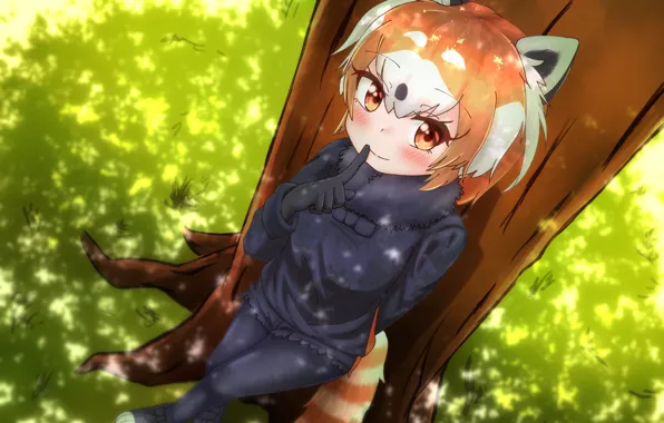 Nature, tree, girl, Kemono Friends, Lesser Panda