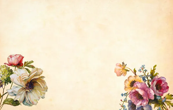 Picture flowers, background, Texture, beige