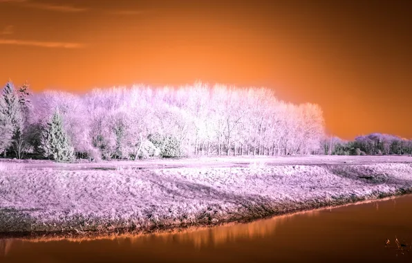 Picture landscape, river, False colour
