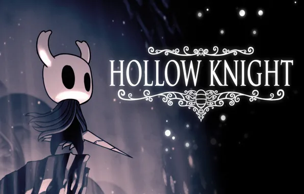 Picture Game, Hollow Knight, Team Cherry