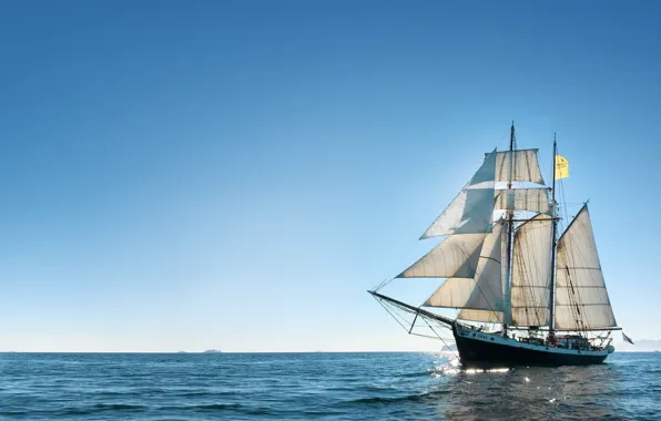 The ocean, ship, sailboat, research vessel, whale watching, Whale watching in a sailing boat