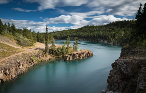 Forest, river, Canada, Canada, Yukon, Yukon, Yukon River, The Yukon River