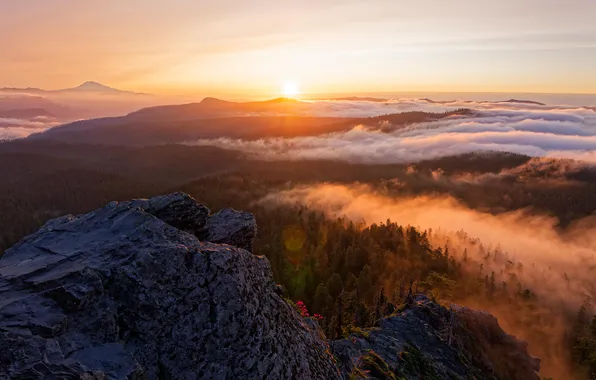Forest, the sky, the sun, trees, fog, rocks, dawn, Oregon