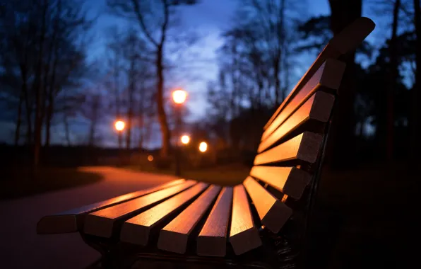 Night, Park, bench