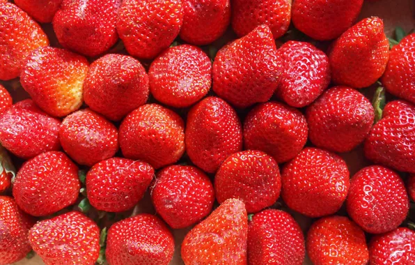 Berries, background, strawberry, strawberry, fresh berries